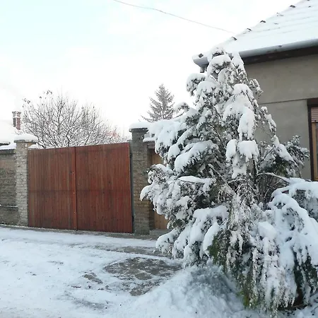 Pensionat Tisza Haz Senta